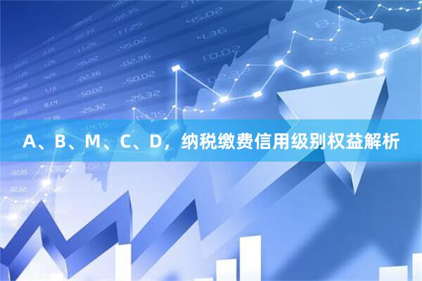 A、B、M、C、D，纳税缴费信用级别权益解析