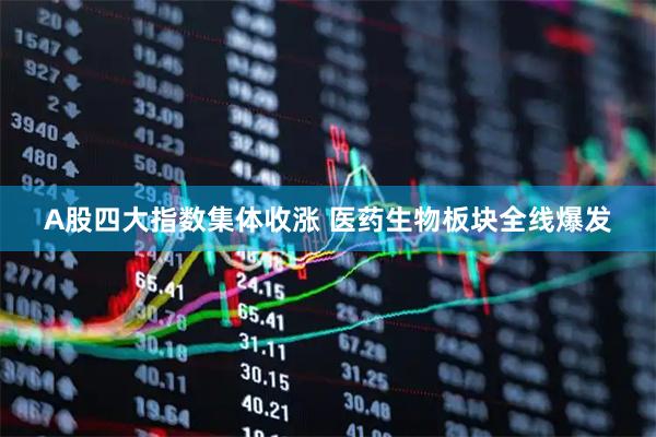 A股四大指数集体收涨 医药生物板块全线爆发