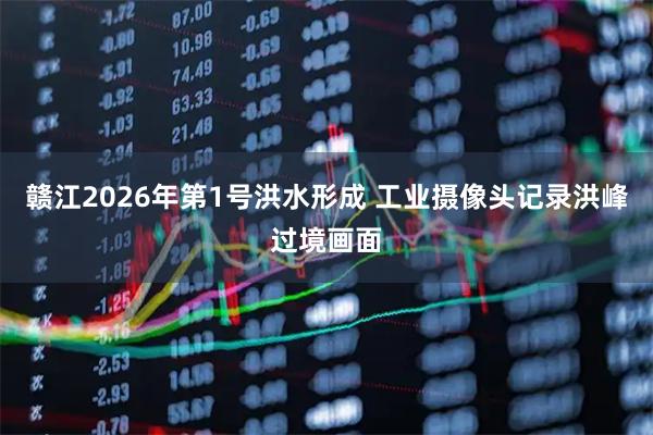 赣江2026年第1号洪水形成 工业摄像头记录洪峰过境画面